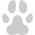 Pets & Mascots