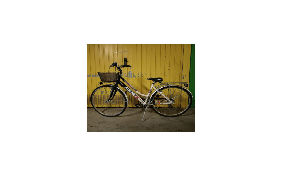 vendo-biciclette-donna-causa-spazio-box-big-0