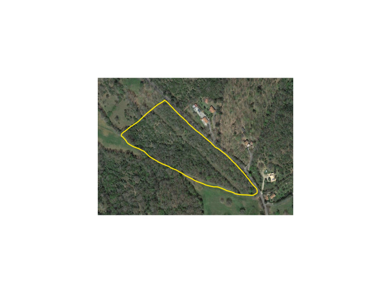 Terreno agricolo su strada comunale per Vetulonia