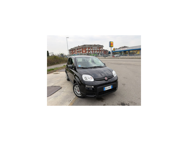 panda-hybrid-small-1